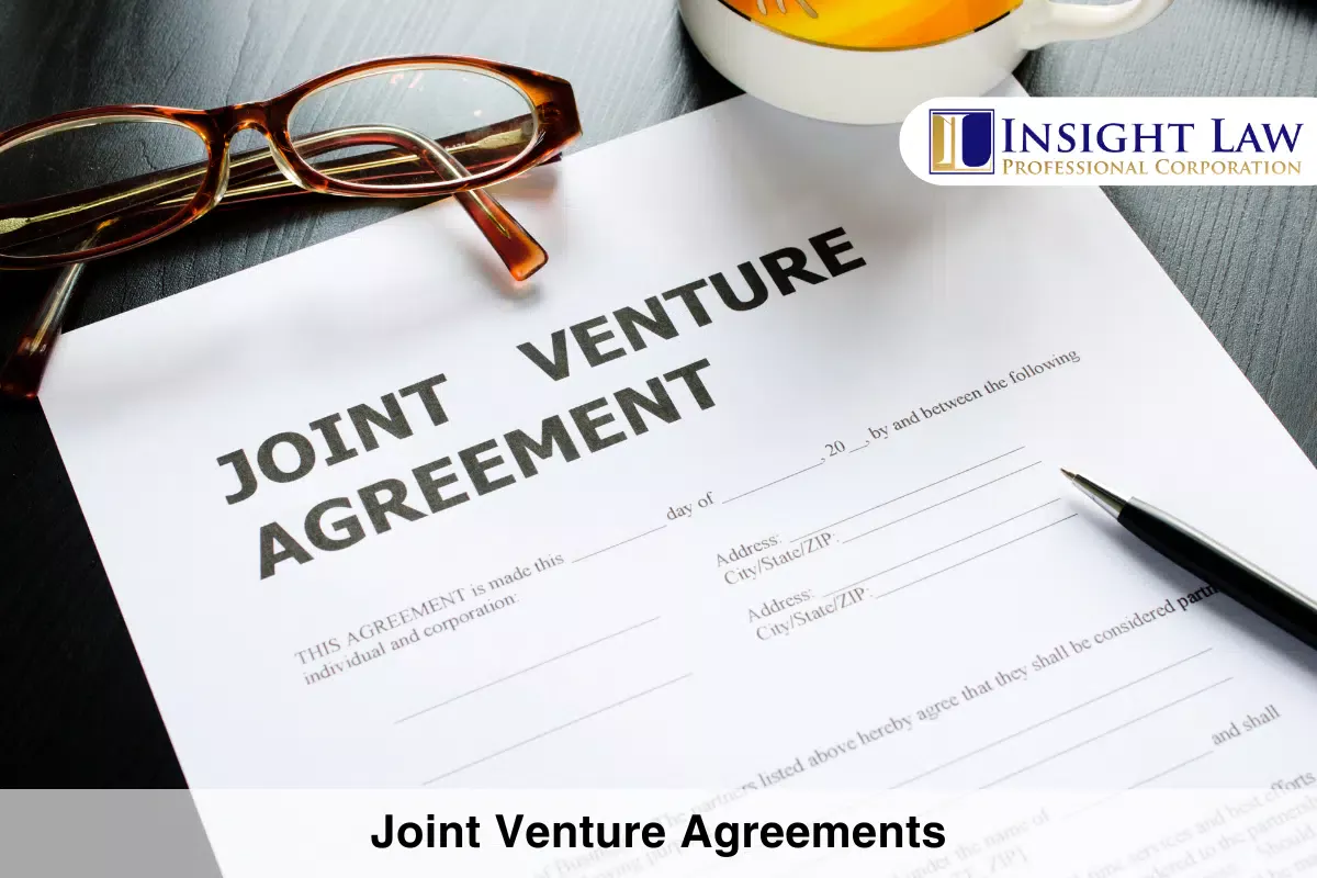 Joint Venture Agreements
