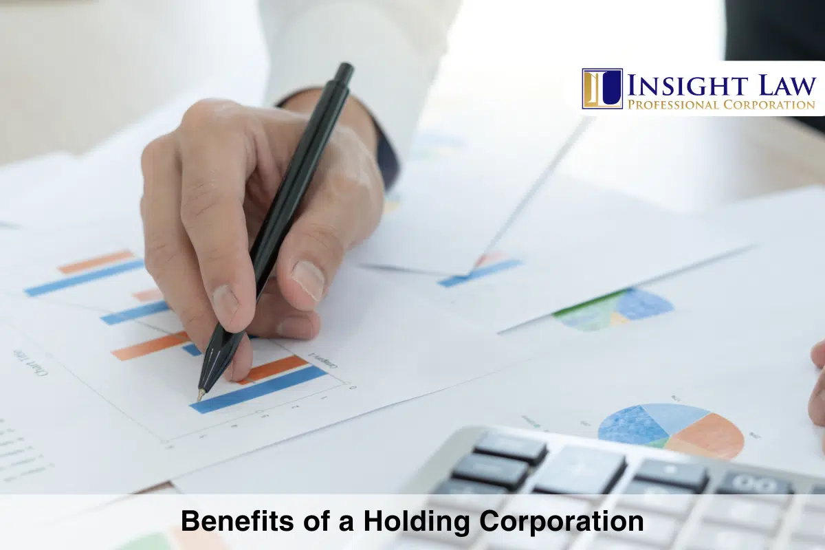 Benefits of a Holding Corporation