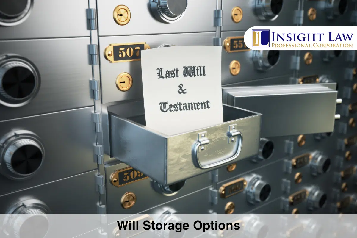 Will Storage Options