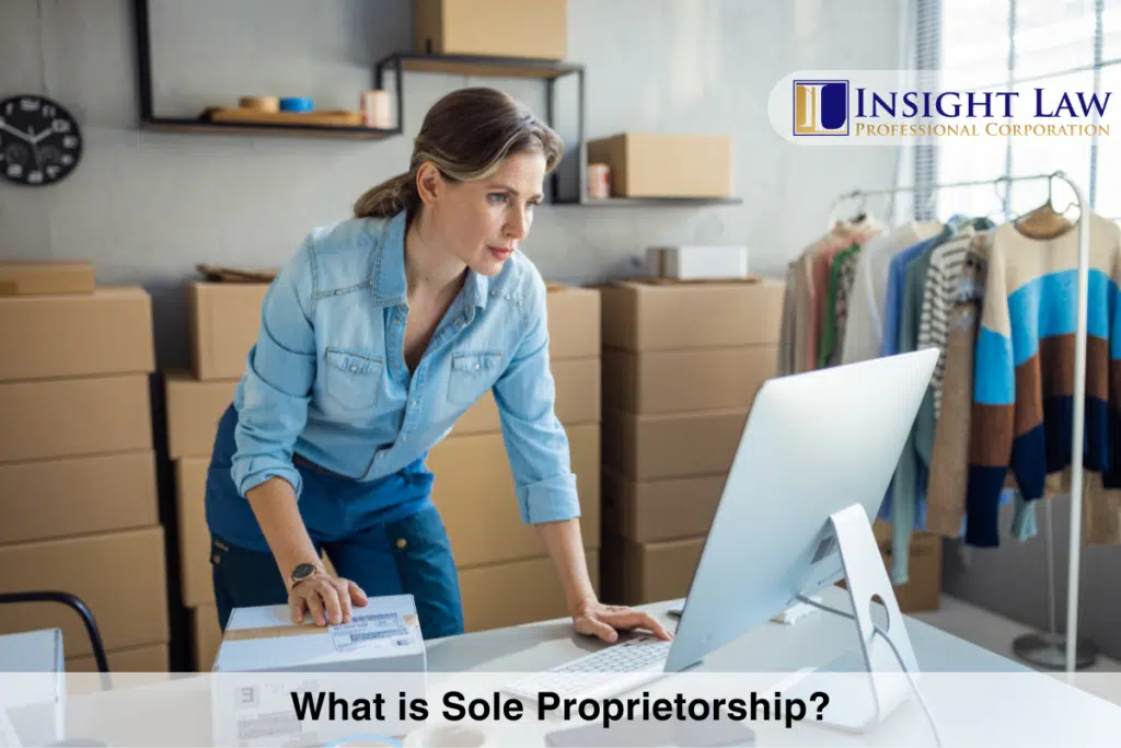 What is Sole Proprietorship
