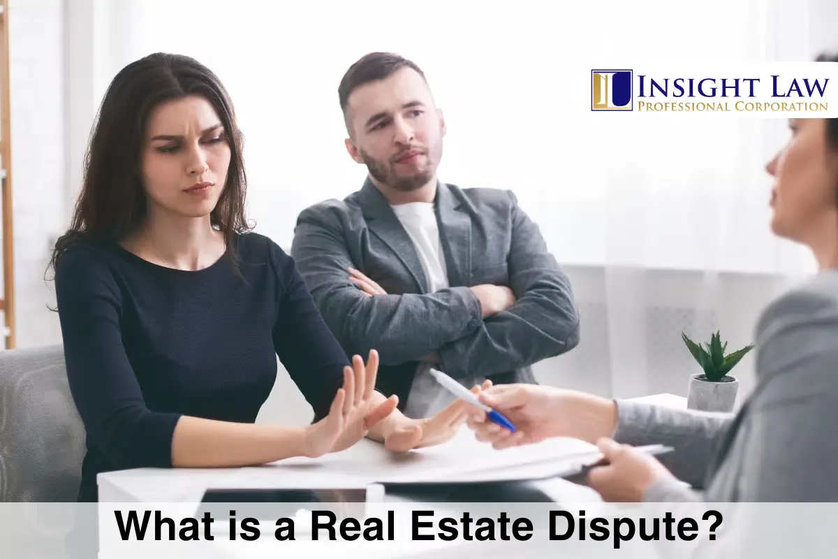 What is a Real Estate Dispute