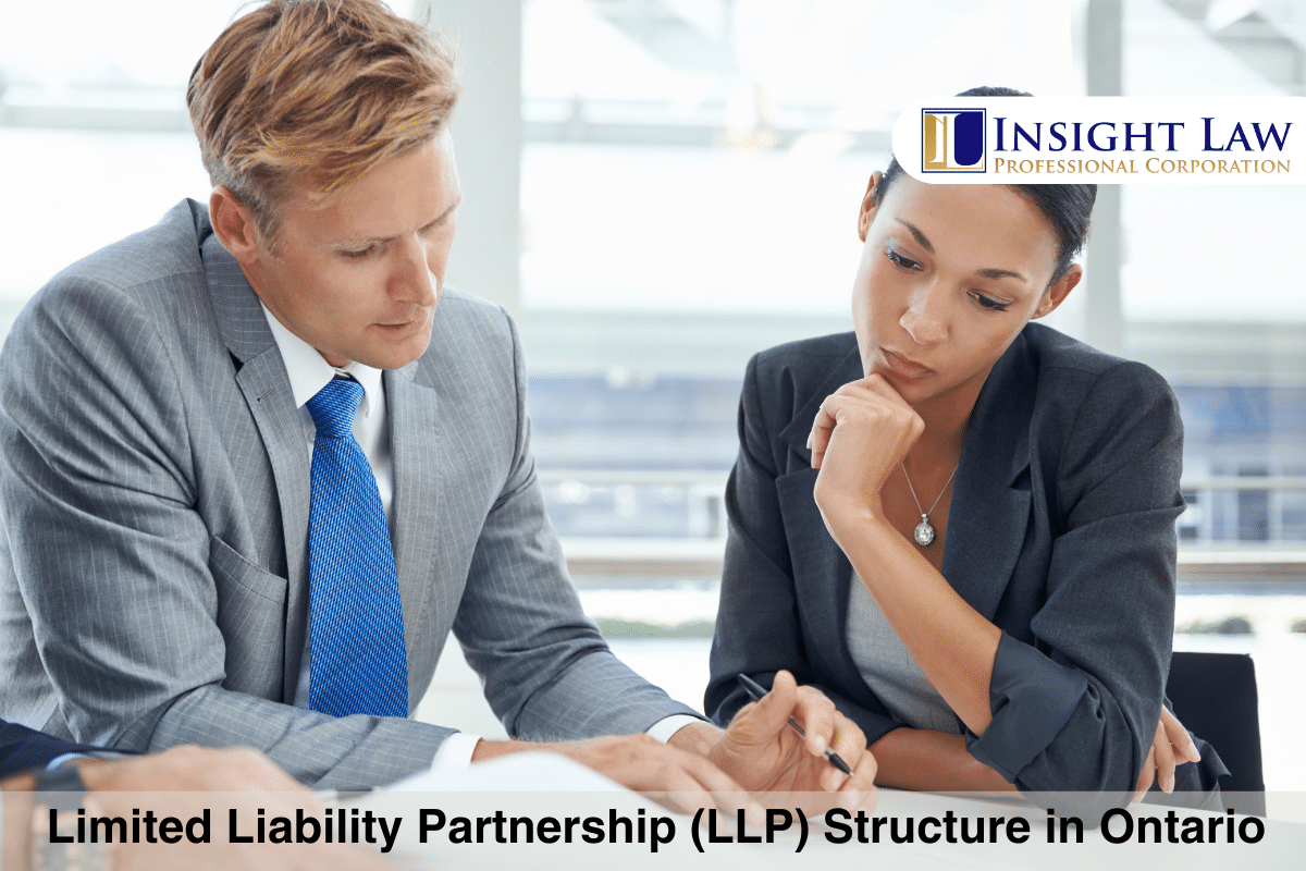 Limited Liability Partnership Structure