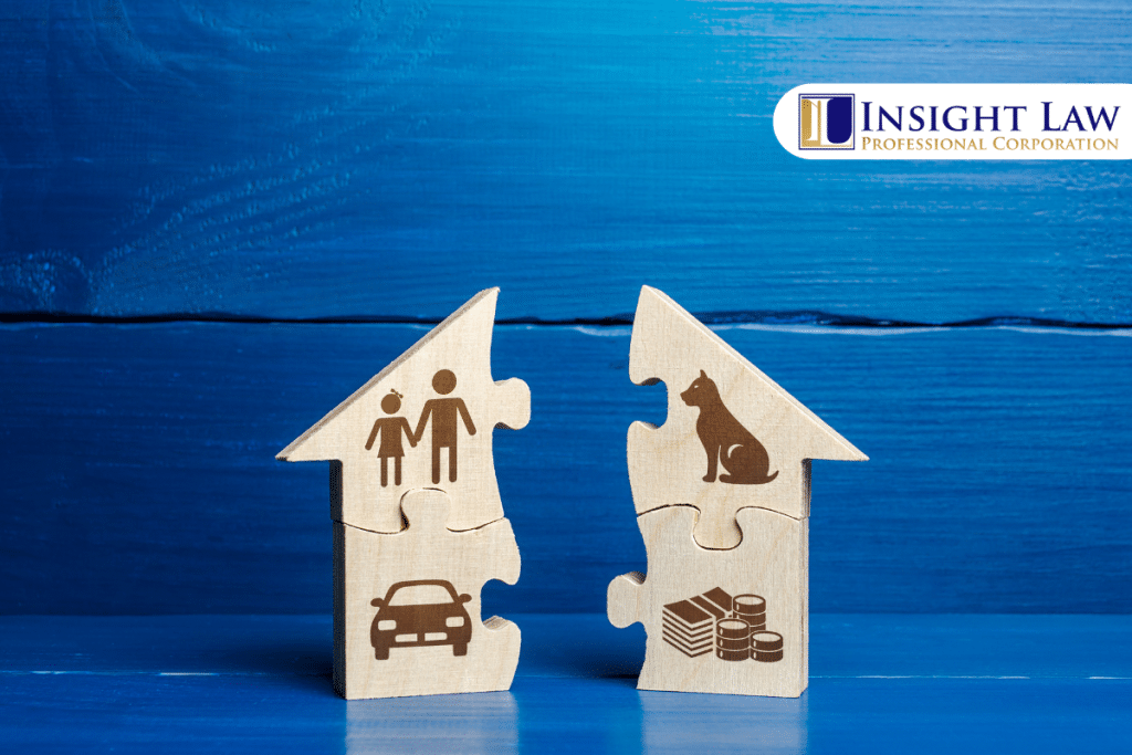 Asset & Property Division